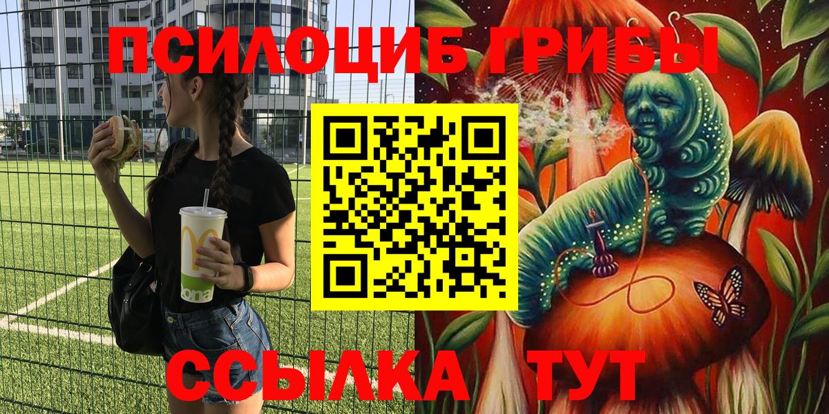 Гурьевск  Псилоцибиновые грибы Psilocybe  Псилоцибиновые грибы MAGIC MUSHROOMS  Вход с VPN 