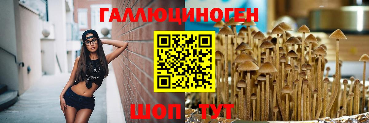 Конопля Гурьевск