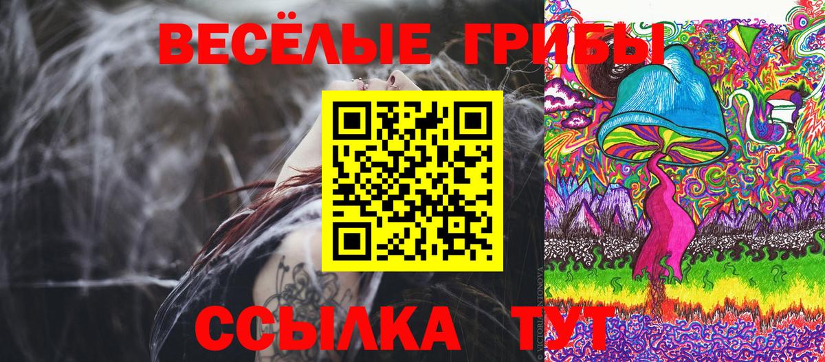 Галлюциногенные грибы Cubensis Гурьевск